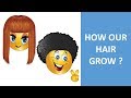 Understanding Hair Growth Phases