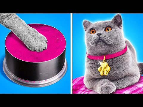 Makeover of Homeless Cat 🐱Gadgets and Hacks for Pets