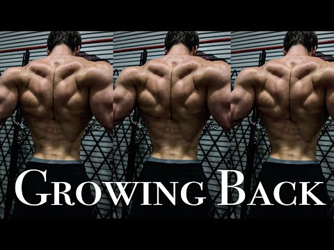 GROWING BACK