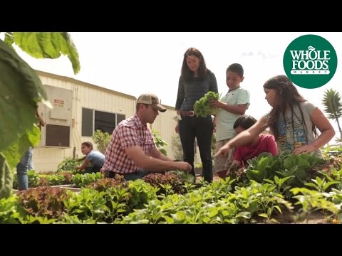 School Gardens | Love Local | Whole Foods Market