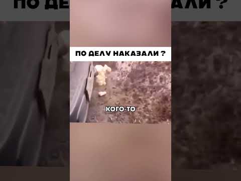 Достал соседей в край 🤣