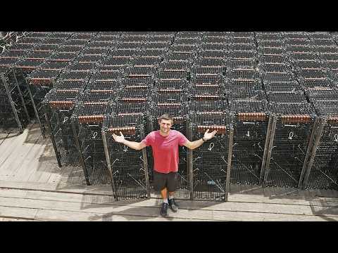 Investing BIG in my lobster business