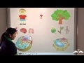 Understanding Cells and Their Functions