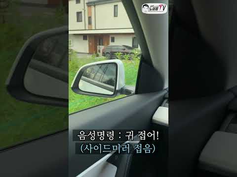 테슬라의 똑똑한건지 멍청한건지 헷갈리는 음성 명령 😵‍💫 #shorts