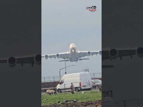 Giant wings stretch for lift-off!😳 Etihad Airbus A380🇦🇪✈️ 👑. #etihad #airbusa380 #takeoff #heathrow