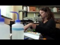 Indian River Lagoon Knowledge Assessment