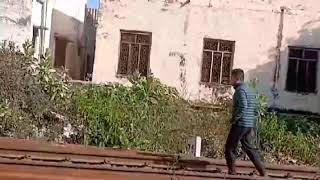 barasingha kaha se a Gaya akash is live stream