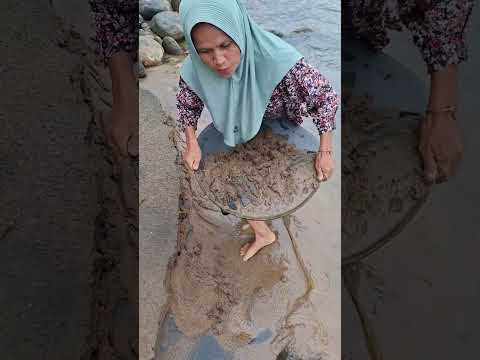 Crazy.,!! discovery of gold dust in inland rivers carried by flash waters. #golddiscovery #goldrush