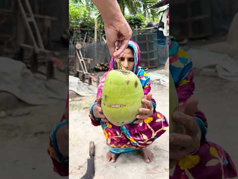 Amazing Coconut Coir Bird Nest Making In Village #shorts
