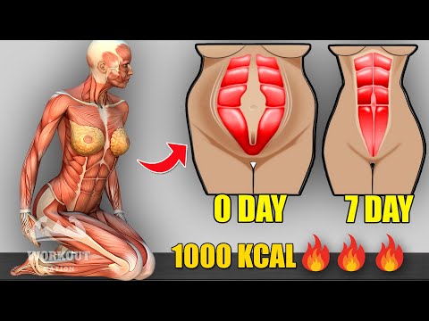 1 MINUTE STANDING EXERCISE ( No Jumping ) To Lose Belly Fat & Lose Weight