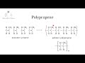 Understanding Polymers and Plastics