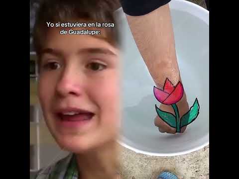 Yo si estuviera en la rosa de Guadalupe 🌹🤣 #larosadeguadalupe #humor #comedia #mateomarteel