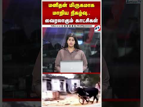 மனிதன் மிருகமாக மாறிய நிகழ்வு.. வைரலாகும் காட்சிகள்