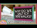 Understanding Salt and Freezing Points