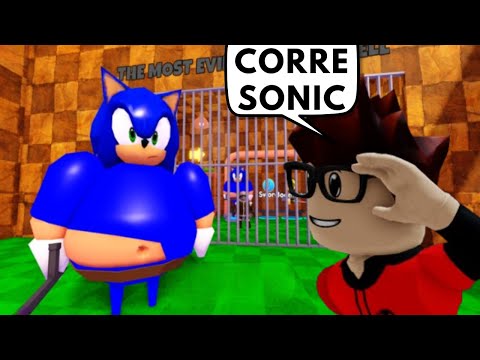 A PRISÃO DO BARRY PEIDÃO é o SONIC...