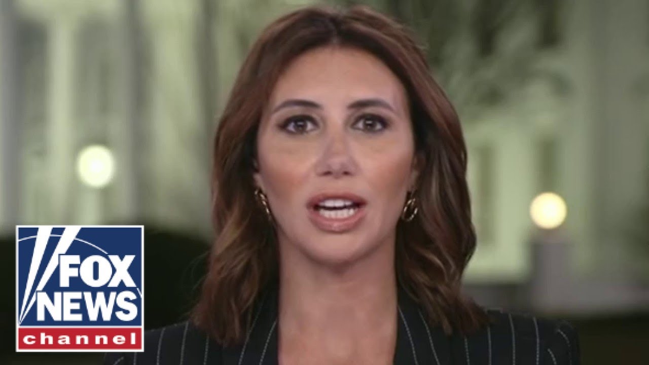 Alina Habba: Musk is ‘not backing down’ on balancing budget