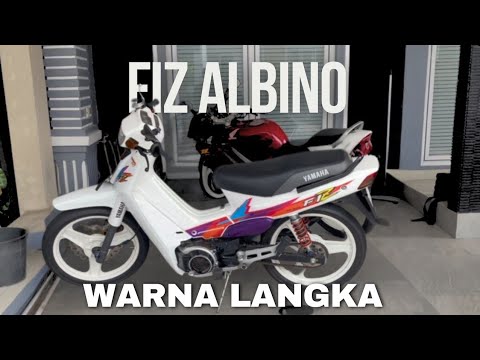 FIZ Albino Asli Langka Modif Era 90 an