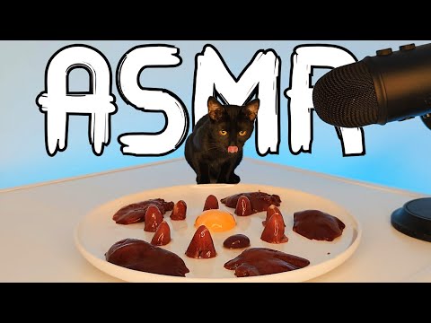 ASMR Mukbang Cat Eating Raw Food in Satisfying Sound 😻🍽️