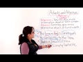 Adverbs and Adjectives Assessment