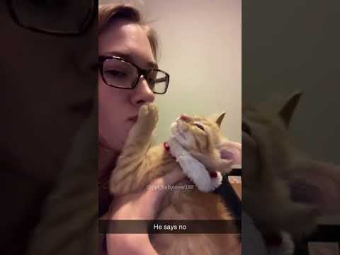 Funny Pets | 2024😂 Funny Dogs And Funny Cats Videos 🐱 🐕 😄 #105