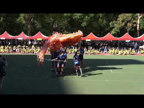 開幕表演-直排輪-祥龍獻瑞