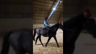 Rider Chaps uden salleden!!! Mit kamara er lidt dårlig!
