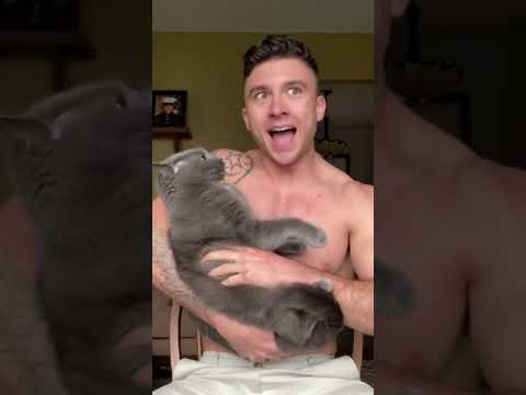 My cat is dangerous, but he loves it when I sing to him #shorts