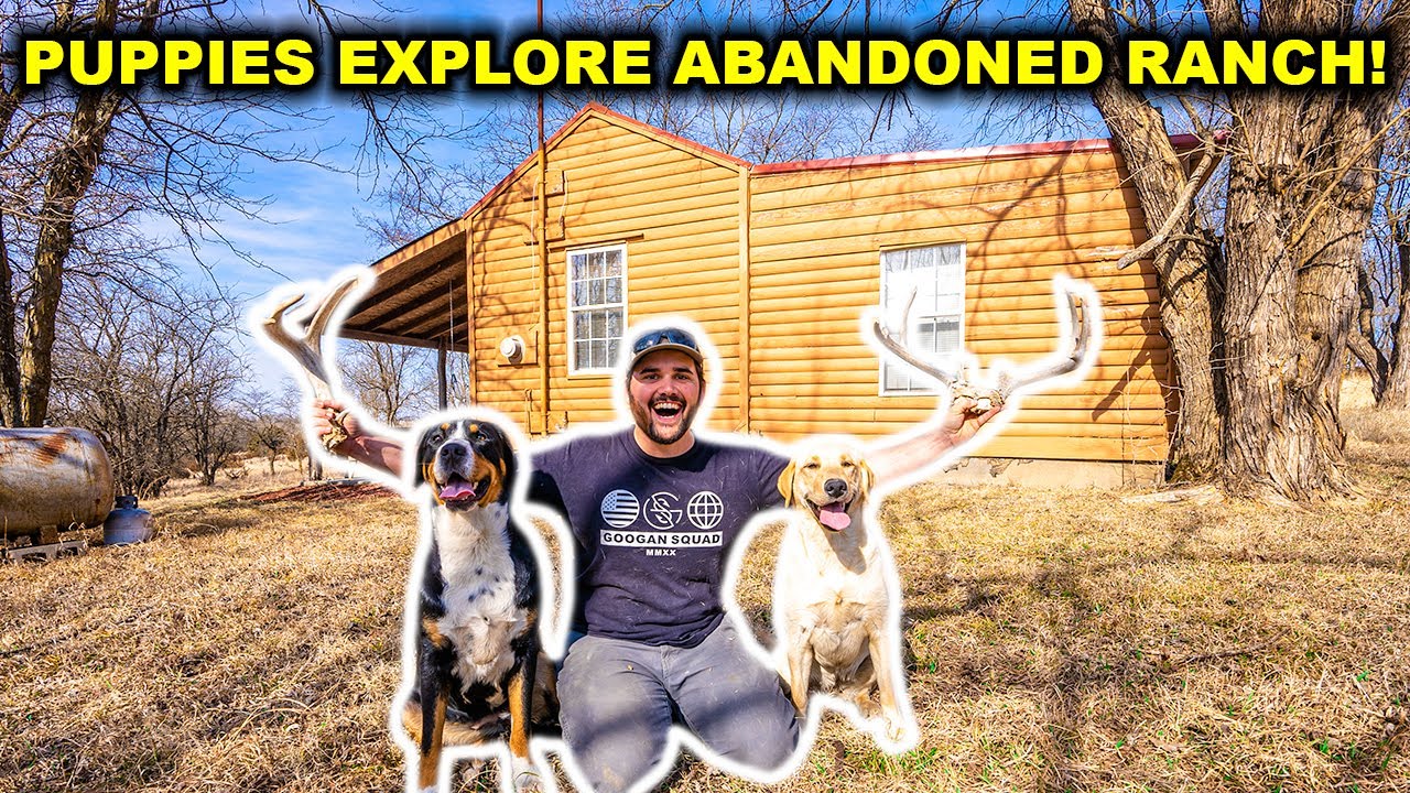 Exploring the ABANDONED High-Fence RANCH with My DOGS! (Sheds and Bones FOUND)