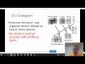 Molecular Clocks and Taxonomy Concepts