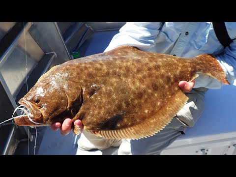 Fluke Getting Bigger! Quick Limit Again + Seakeeper Ride Demo!