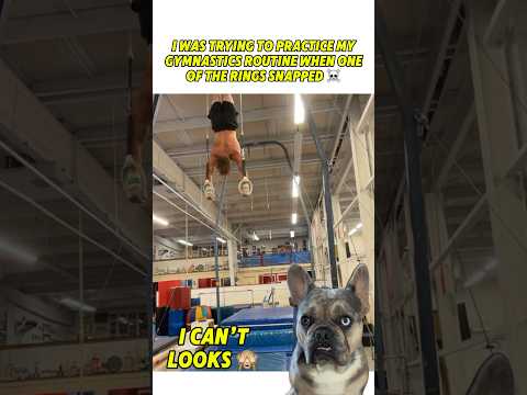 🆘 Stunad’s epic FAIL on the rings 😫🙈😳 #reaction #dogs #funny #viral