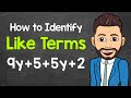 Identifying Like Terms in Algebraic Expressions