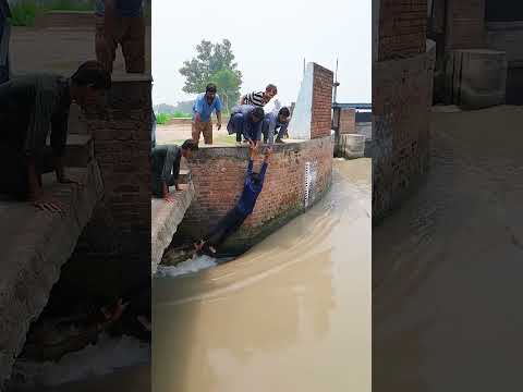 # Yaar Tera Pyar To Hai Meri Jindagi