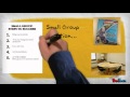 Reading Skills and Classroom Procedures