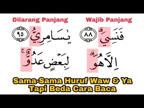 Kesalahan Ini Karena Tidak Tau, Cara Waqaf Pada Huruf Waw & Ya | Bedakan Mana Panjang dan Pendek