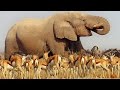 Effects of Nature on Happiness