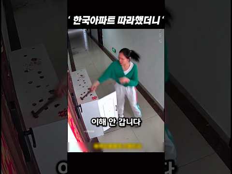 중국반응ㅣ아무래도 아파트에서 살면 안될듯