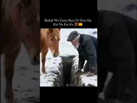 wait for end 😧🥺 #yaallah #helpingothers #horse #allahuakbar #labaik #love #likesharesubscribe