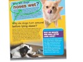 Understanding Text Features in Non-Fiction