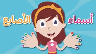 اسماء الأصابع للأطفال | تعليم اسماء الأصابع باللغة العربية | تعلم مع نور