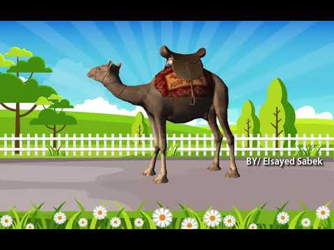 Farm Animal Sounds Guessing Challenge for Adults and Children #animal_sounds