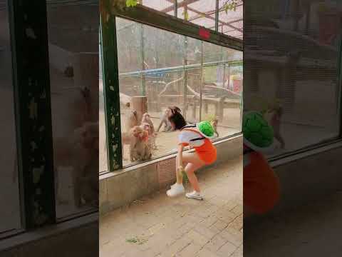 kháng giả cuồng nhiệt quá