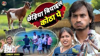 #छेड़िया_बियाइल_कोठा_पे 🤪 एक नए अंदाज की कॉमेडी वीडियो #Chhediya_biyail_kotha_pe #shailendra_gaur.
