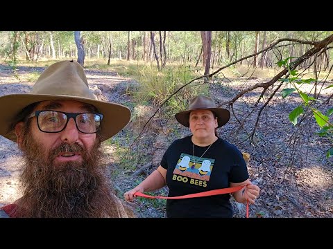 What's Out The Back? A Walk Through The Small Bush Paddock