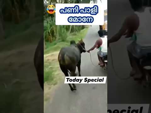 ഇതിലും വലുത് വാരാൻ ഇരുന്നതാ😛