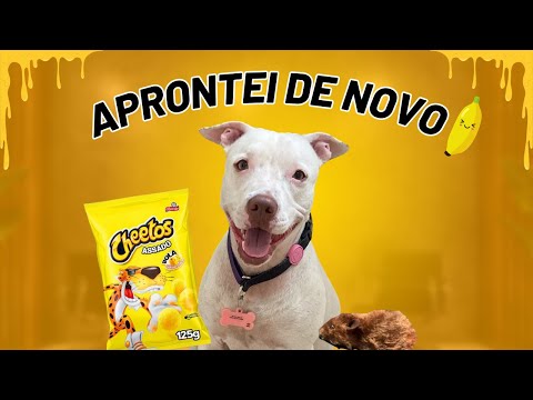 FIZ O CHEETOS DO HUMANO SUMIR l APRONTEI DE NOVO