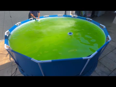 Como limpar piscina com água verde ( de plástico) - Rhuan Felix #satisfying #limpeza #pool #verão