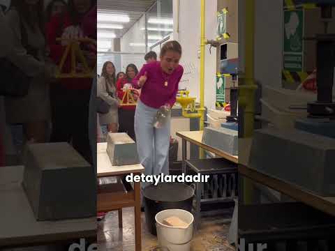 Spagetti Köprüsü Sınavı: Herkes Çöktü, O Ayakta Kaldı 🤯🌉