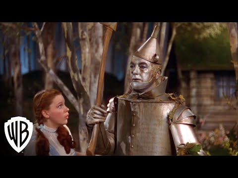 Dorothy Meets The Tinman