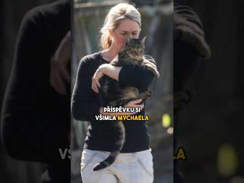 Tenhle kocour žije dva různé životy #shorts #facts #viralvideo